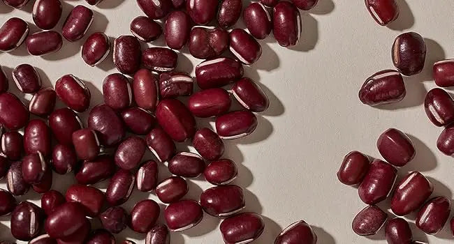 Skin Facial Moisturizing Dark Spot Removing Natural Anti Aging Wrinkle Whitening Face Cream